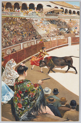 闘牛 / Bullfighting image