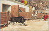 闘牛/Bullfighting image