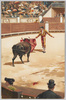 闘牛/Bullfighting image