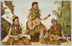 Hawaiian Hula Dancers.  image
