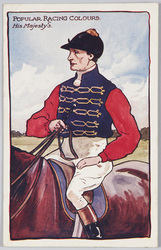 POPULAR RACING COLOURS image