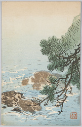 海の岩場と松の枝 / Rocky Area by the Sea and Pine Branch image