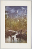 月と秋草/The Moon and Autumn Flowers image