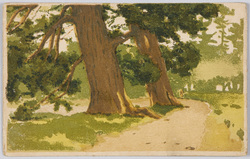 大樹のある小道 / Path with a Large Tree image