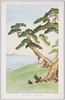 御勅題 海辺松/Subject of the New Year's Imperial Poetry Contest: Pine Tree on the Seaside image