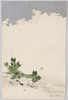 龍と松に流水/Dragon, Pine Tree, and Stream image