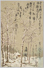 雪の積もった木立 / Snow-Covered Thicket image