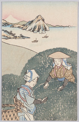 牧野原茶園 / Makinohara Tea Plantation image