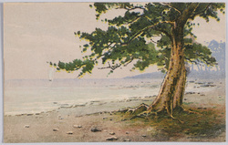 海岸の松(風景水彩画) / Pine Trees on the Coast (Watercolor Landscape Painting) image