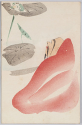 蓮の上の蛙を見る達磨 / Bodhidharma Looking at Frogs on a Lotus Leaf image