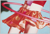 フラフープ(「The Post Cards」シリーズ)/Hula Hoop (