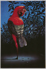 人面鳥(「The Post Cards」シリーズ)/Bird with a Human Face (