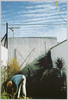 庭(「The Post Cards」シリーズ)/Garden (