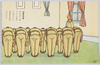 御真影拝賀/Worship of Imperial Portraits image