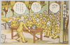 演芸会/Talent Show image