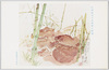 武藤夜舟大尉画「江湾付近十九路軍の陣地」/The Position of the 19th Route Army near Jiangwan, Painted by Captain Mutō Yashū image