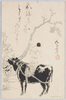 牛と少年/Cow and Boy image