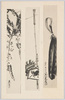 十二ヶ月絵葉書(1)一月 ぬい初 二月 初午 三月 藤/Picture Postcard of the Twelve Months (1) January: Nuizome (The First Sewing of the Year); February: Hatsuuma (Festival Held on the First Day of the Horse in February); March: Wisteria image