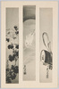 十二ヶ月絵葉書(3)七月 七夕 八月 月 九月 菊/Picture Postcard of the Twelve Months (3) July: Tanabata (Star Festival); August: The Moon, September: Chrysanthemums image