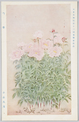 日本美術院第十二回展覧会出品 「芍薬」 小山大月 / Work Exhibited at the 12th Japan Art Institute Exhibition: Peonies, Koyama Taigetsu image