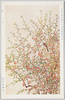 日本美術院第十二回展覧会出品 「ぼけ」 武口多景志 / Work Exhibited at the 12th Japan Art Institute Exhibition: Japanese Quince, Takeguchi Takeshi image