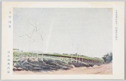 日本美術院第十一回展覧会出品 「平野晴景」 速水御舟氏筆 / Work Exhibited at the 11th Japan Art Institute Exhibition: View of the Field with a Clear Sky, by Mr. Hayami Gyoshū image
