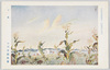 日本美術展第十一回展覧会出品 「夕風」 小川芋銭氏筆/Work Exhibited at the 11th Japan Art Institute Exhibition: Evening Breeze, by Mr. Ogawa Usen, Issued by the Japan Art Institute image