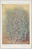 日本美術院第十三回展覧会出品 「さやゑんどう」 並木瑞穂 / Work Exhibited at the 13th Japan Art Institute Exhibition: Podded Pea Plant, Namiki Mizuho image