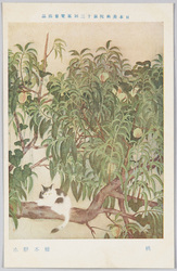 日本美術院第十三回展覧会出品 「桃」 橋本静水 / Work Exhibited at the 13th Japan Art Institute Exhibition: Peach Trees, Hashimoto Seisui image