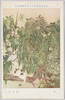 日本美術院第十三回展覧会出品 「桃」 橋本静水/Work Exhibited at the 13th Japan Art Institute Exhibition: Peach Trees, Hashimoto Seisui image