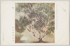 日本美術院第九回美術展覧会出品 「桃」 堅山南風氏筆 / Work Exhibited at the 9th Japan Art Institute Exhibition: Peach Tree, by Mr. Katayama Numpū image