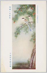 日本美術院第十一回展覧会出品 「柘榴に尾長鳥」 小茂田青樹氏筆 / Work Exhibited at the 11th Japan Art Institute Exhibition: Pomegranate Tree with Long-Tailed Fowls, by Mr. Omoda Seiju image