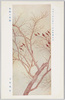 日本美術院第十二回展覧会出品「 枯梢小禽図」 富取風堂 /Work Exhibited at the 12th Japan Art Institute Exhibition: Picture of Little Birds on Bare Treetops, Tomitori Fūdō image