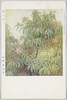 日本美術院第十一回展覧会出品 「桃の木」 中嶋清氏筆 / Work Exhibited at the 11th Japan Art Institute Exhibition: Peach Tree, by Mr. Nakajima Kiyoshi image