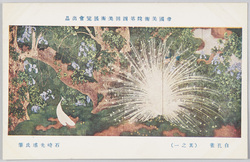 帝国美術院第四回美術展覧会出品 「白孔雀」 石崎光瑶氏筆 / Work Exhibited at the 4th Imperial Art Academy Exhibition: White Peacock, by Mr. Ishizaki Kōyō image
