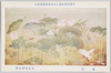 帝国美術院第七回美術展覧会出品 「蓮池」 金島桂華氏筆/Work Exhibited at the 7th Imperial Art Academy Exhibition: Lotus Pond, by Mr. Kanashima Keika image