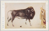 帝国美術院第六回美術展覧会出品 「相牛」 橋本関雪氏筆/Work Exhibited at the 6th Imperial Art Academy Exhibition: Cow and Man of High Character, by Mr. Hashimoto Kansetsu image