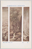 帝国美術院第七回美術展覧会出品 「秋思」 幸松春浦氏筆/Work Exhibited at the 7th Imperial Art Academy Exhibition: Melancholy Mood in Autumn, by Mr. Yukimatsu Shumpo image