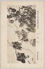 (第七回文部省美術展覧会出品) 「水陸」 磯田長秋氏筆/(Work Exhibited at the 7th Ministry of Education Art Exhibition) Land and Water (1), by Mr. Isoda Chōshū image