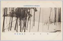 (文部省第六回美術展覧会出品) 「寒月」 木島桜谷筆 / (Work Exhibited at the 6th Ministry of Education Art Exhibition) Winter Moon, by Konoshima Ōkoku image
