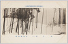 (文部省第六回美術展覧会出品) 「寒月」 木島桜谷筆/(Work Exhibited at the 6th Ministry of Education Art Exhibition) Winter Moon, by Konoshima Ōkoku image