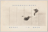 (文部省第八回美術展覧会出品) 「閑雲野鶴」(其二) 都路華香筆/(Work Exhibited at the 8th Ministry of Education Art Exhibition) Free from Worldly Cares (2), by Tsuji Kakō image