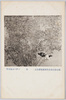 (第七回文部省美術展覧会出品) 「萩」 中津川涼風氏筆/(Work Exhibited at the 7th Ministry of Education Art Exhibition) Bush Clover, by Mr. Nakatsugawa Ryōfū image