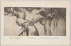 (第七回文部省美術展覧会出品) 「逸気横生」 広瀬東畝氏筆/(Work Exhibited at the 7th Ministry of Education Art Exhibition) A Hawk and Flying Birds In Strong and Bushy Pine Trees, by Mr. Hirose Tōho  image