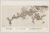 (第七回文部省美術展覧会出品) 「逸気横生」 (其二) 広瀬東畝氏筆/(Work Exhibited at the 7th Ministry of Education Art Exhibition) A Hawk and Flying Birds In Strong and Bushy Pine Trees (2), by Mr. Hirose Tōho image