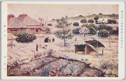 第七回文部省美術展覧会出品 「春さき」 南薫造 / Work Exhibited at the 7th Ministry of Education Art Exhibition: Early Spring, Minami Kunzō image