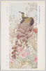 第一回聖徳太子奉讃美術展覧会出品 「錦翎芳華」 池上秀畝/Work Exhibited at the 1st Art Exhibition Supporting Prince Shōtoku: Colorful Feathers and Fragrant Blossoms, Ikegami Shūho image
