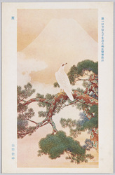 第一回聖徳太子奉讃美術展覧会出品 「鷹」 山田敬中 / Work Exhibited at the 1st Art Exhibition Supporting Prince Shōtoku: Hawk, Yamada Keichū image