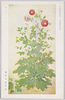 日本美術院第十一回展覧会出品 「ダリヤ」 鬼原大聖氏/Work Exhibited at the 11th Japan Art Institute Exhibition: Dahlias, by Mr. Kihara Taisei image