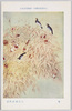 日本美術院第十一回展覧会出品 「栗」 古荘肇成氏筆/Work Exhibited at the 11th Japan Art Institute Exhibition: Chestnut Tree, by Mr. Furushō Chōsei image